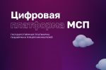 Цифровая платформа МСП