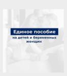 Единое пособие