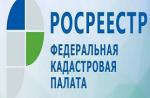 текст