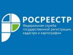 текст