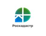 текст