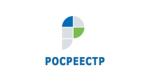текст
