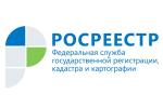 текст