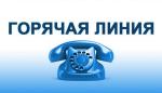 текст