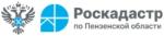 текст
